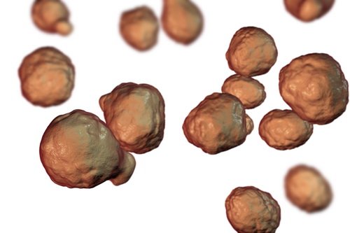 Лечение невриномы в Израиле